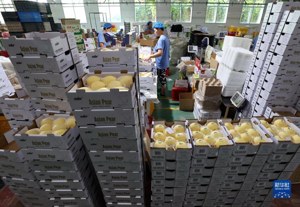 白菜网免费送彩金38元
